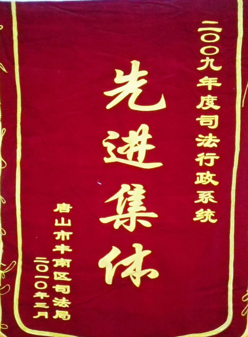 2010.3.区先进（锦旗）